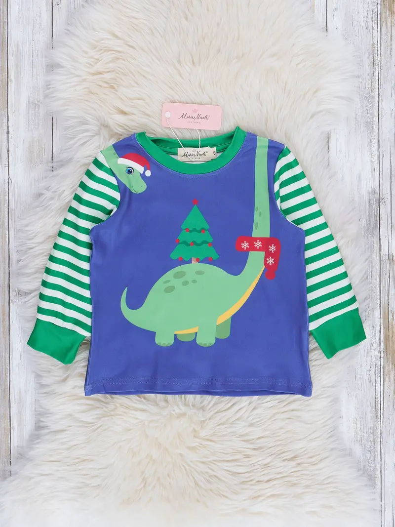 Blue And Green Dino Stripe Raglan Top 1