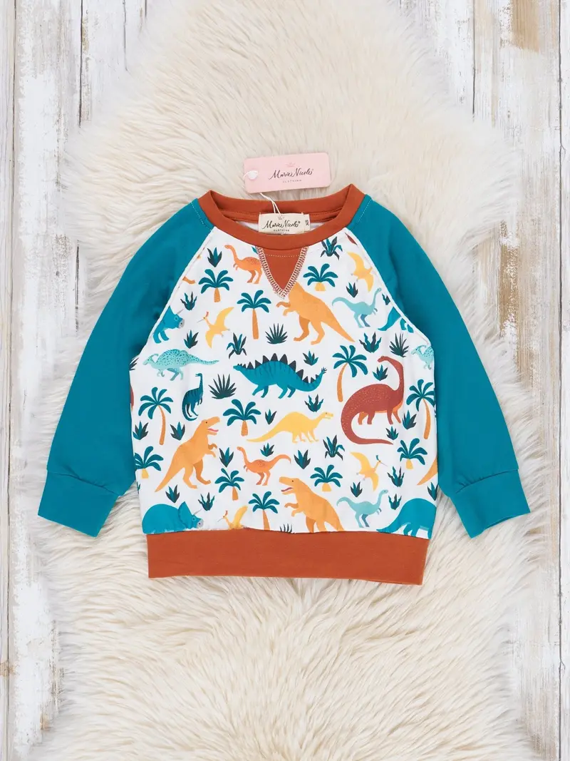 Brown & Turquoise Dinosaur Raglan Tee 1