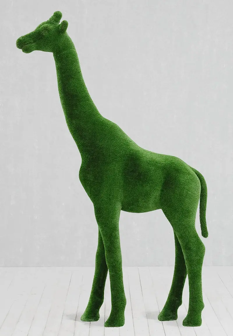 Large Giraffe Topiary – Impressive Height And Botanical Detail 1