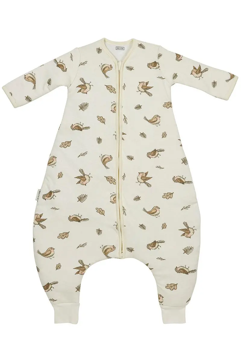 Meyco Winter Sleep Jumper – 104Cm, Robin Print, Long-Sleeve Muslin Overall 1