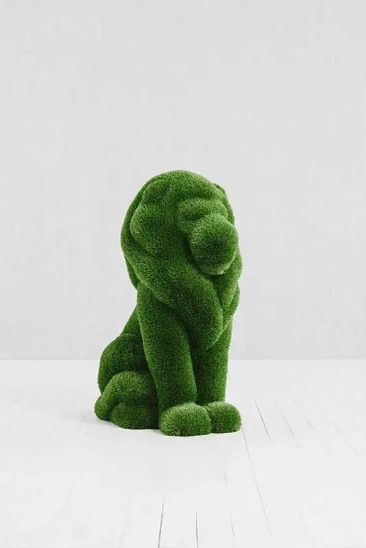 Mini Lion Topiary – Compact Big Cat Landscape Feature 1